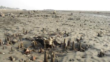 Kuakata Sea Beach.jpg