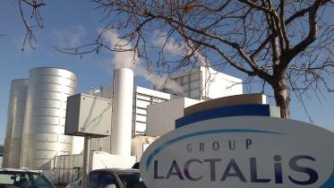 lactails group.jpg