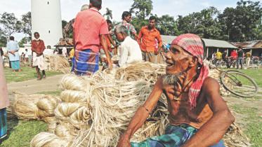 Lalmonirhat jute growers.jpg