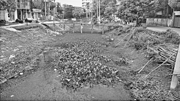 Land grabbers.jpg