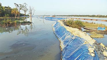Land grabbers feast.jpg