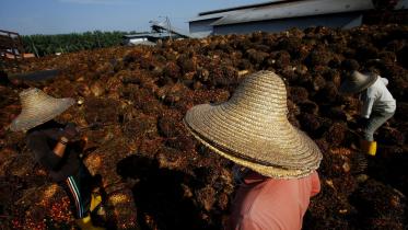 LEAD     India cuts.JPG