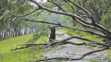 Least Developed Country