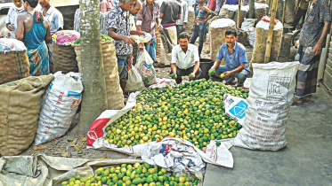 Lemons bring joy.jpg