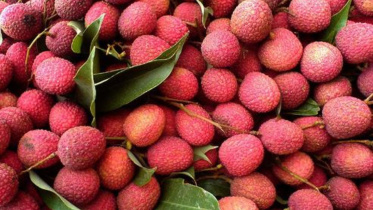 litchi poisoning.jpg