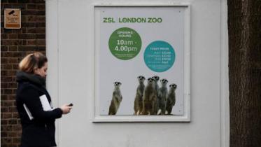 london zoo_Reuters.JPG