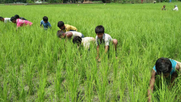 Madhya Dhanghara village.jpg