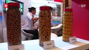 malaysian-palm-oil-star-online-vgrab-wb.jpg