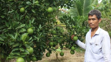 Malta growers Rangamati.jpg