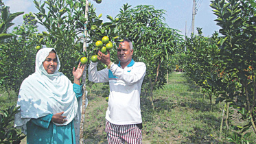 malta orchard.jpg