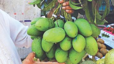 Mango.jpg