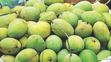mangoes-1.jpg