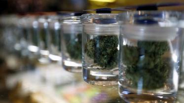 Democrats, Republicans, Election Day, marijuana