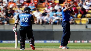 McCullum's brutal onslaught