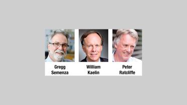 medicine feature.jpg