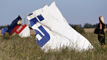 MH17-wb.jpg