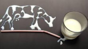 Pasteurised milk adulteration