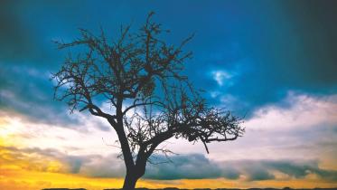 Moonshine Mystery.jpg