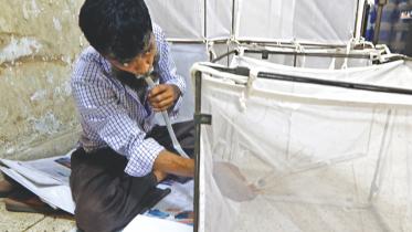 mosquito handler 1.jpg