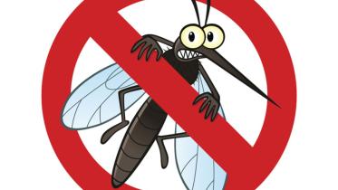 mosquito problem.jpg