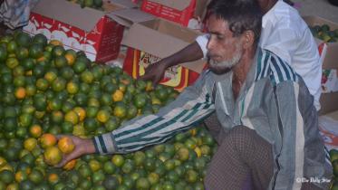 Moulvibazar mandarin 03.jpg