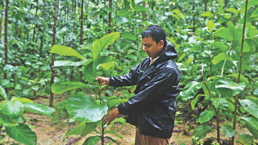 Mozammel Hoque Bakul
