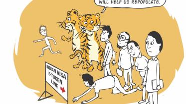 Mr. Forest, Environment, Minerals and Energy