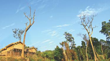 Mro village Bandarban.jpg