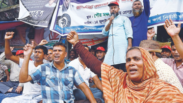 Municipalities shambles.jpg