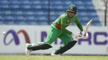 Mushy BCB XI.jpg