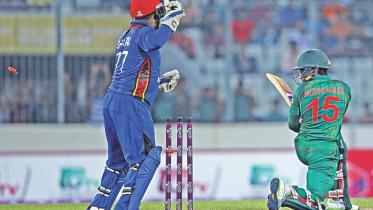 mushy bold by rashid.jpg