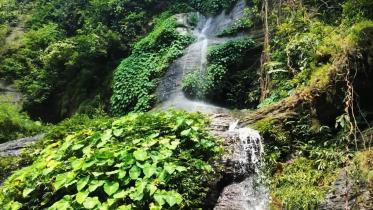 Mirsharai waterfalls