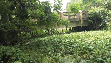 Narail risky bridge.jpg