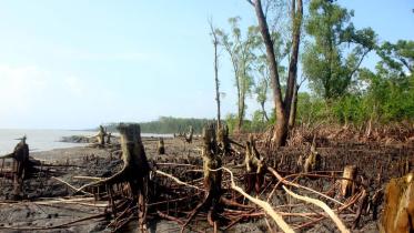 natural disasters.jpg