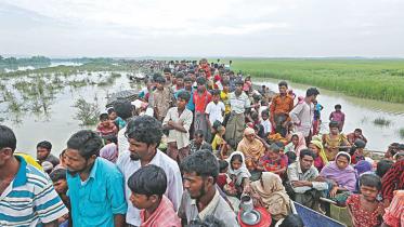 Fresh spike of rohingya