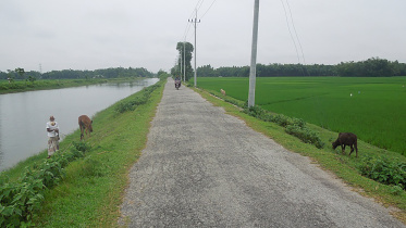 nilphamari road.jpg
