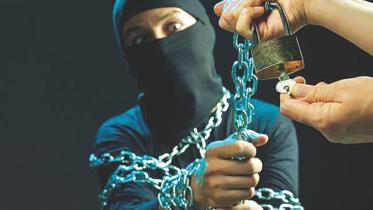ninja burglar.jpg
