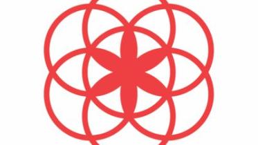 Not your clue to remember