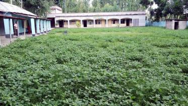 nuisance school playground.jpg