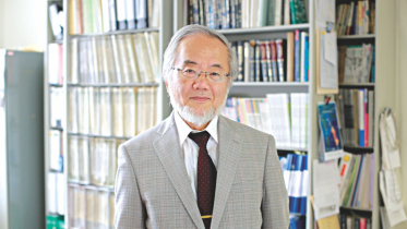 ohsumi.jpg