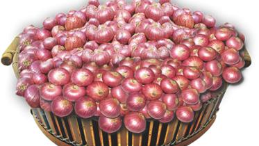 onion price in Bangladesh