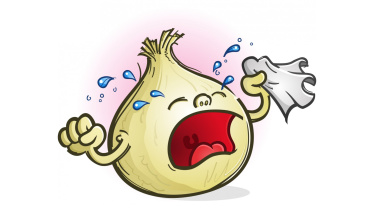 onion crisis symbolic.jpg