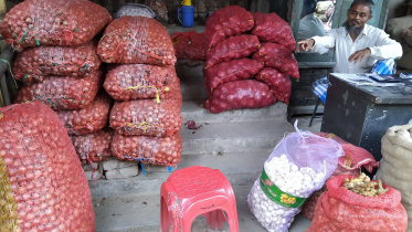 Onion prices.jpg