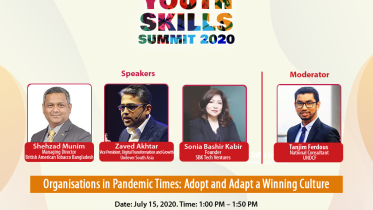 Organisations in Pandemic Times.png