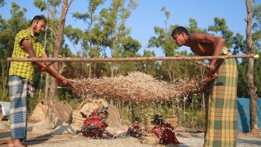 Men landowners in Bangladesh