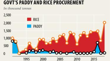 paddy chart.jpg
