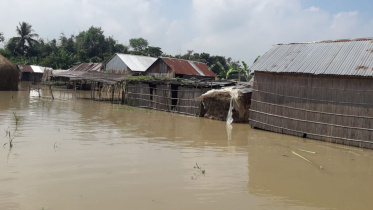 Padma River Floods 1.jpg