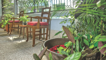 Painting the terrace walls