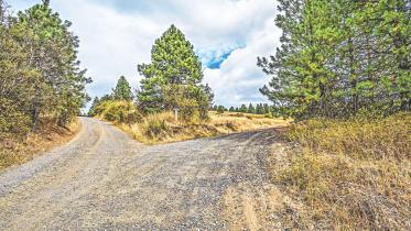 Pale Blue Grocery Bag