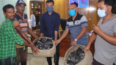 Pankauri rescued.jpg